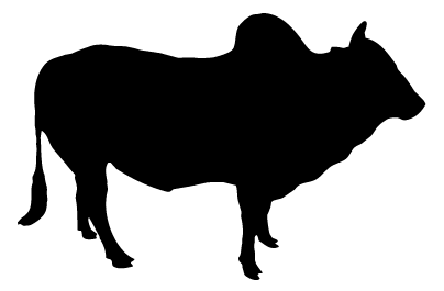 Holy Cow Logo